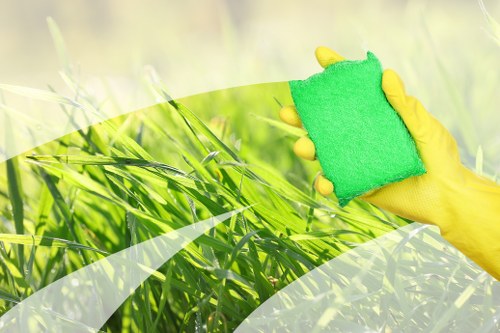 Professional pet stain odour removal in a Forest Gate home