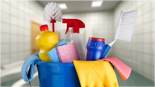 Carpet cleaning quote details for a Forest Gate home