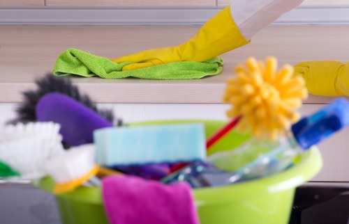 Deep cleaning equipment used for pet stain odour removal