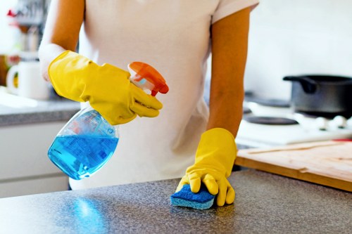 Enzyme treatment for pet odour removal on upholstery