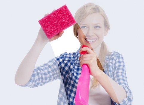 Professional carpet cleaning with liability and care terms