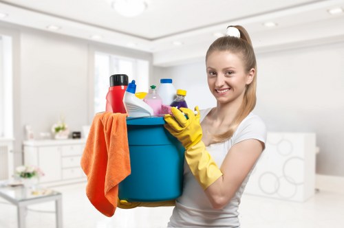Deep carpet cleaning equipment used in a Forest Gate property