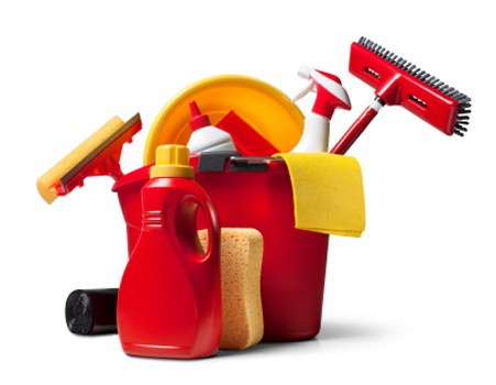 Close-up of carpet cleaning process in a Forest Gate home