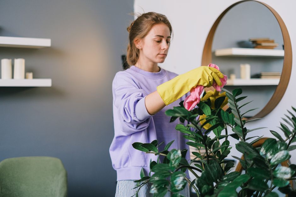 A young woman with light brown, wavy hair tied back, wearing a lavender cleaning uniform and yellow rubber gloves, is focused on wiping a wooden surface in a room with neutral-colored walls. The light